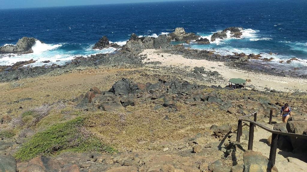 Colorful Marine Life