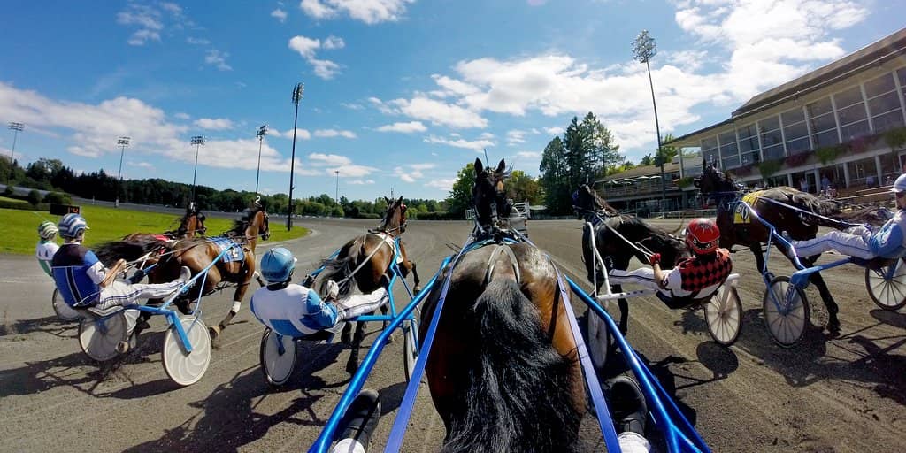 Morton's The Steakhouse