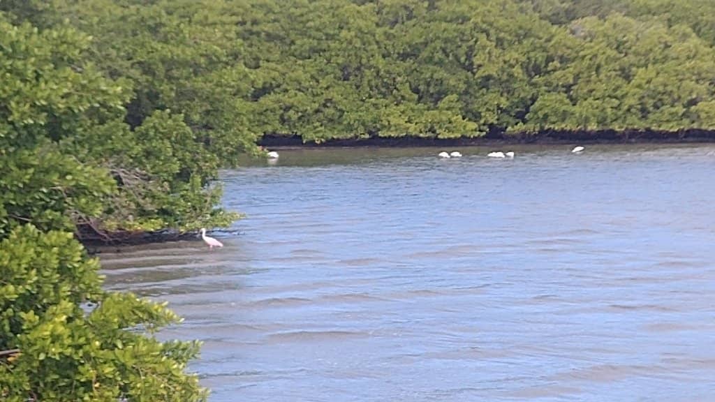 Waterfront Promenade