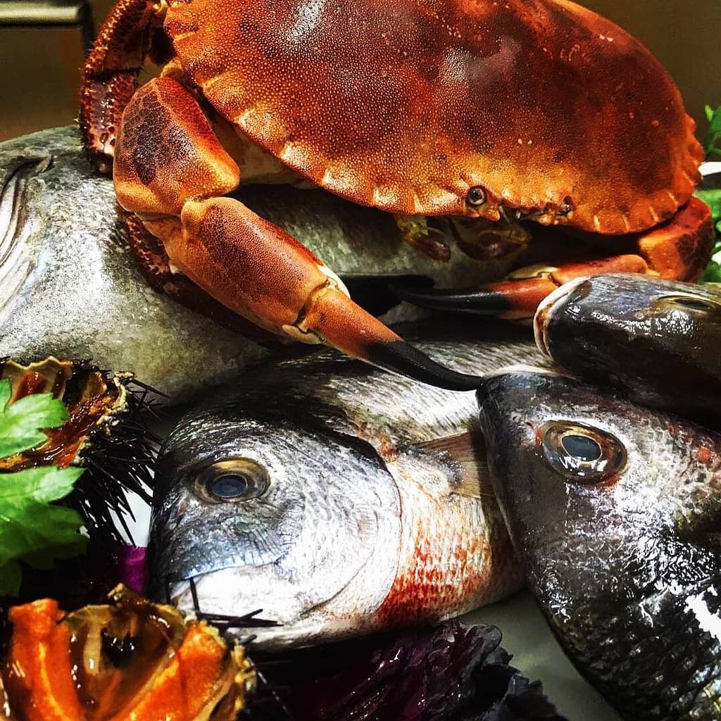 Cozy Atmosphere & Wine