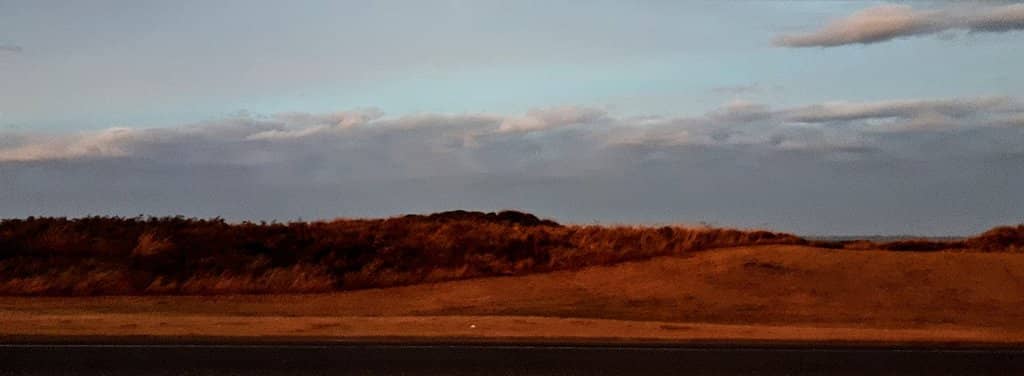 Relaxing Beachfront Strolls
