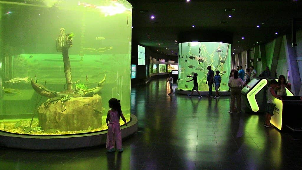 Paraná River Delta Environments