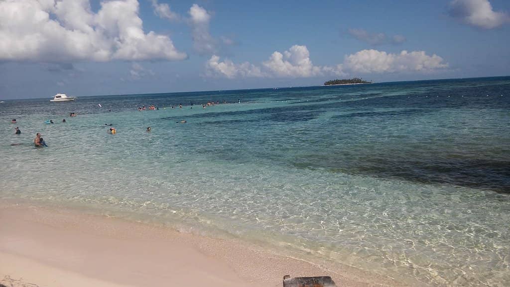 Snorkeling with Sharks