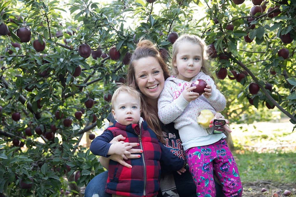Farm Market Treasures
