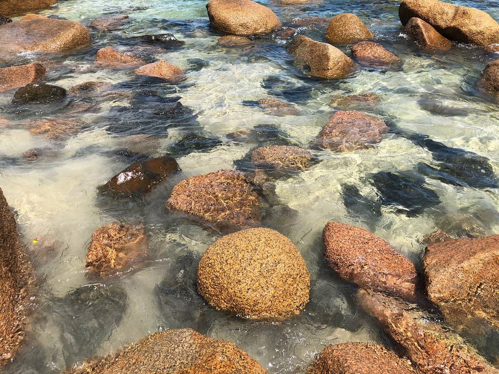 Traditional Seafood Dining