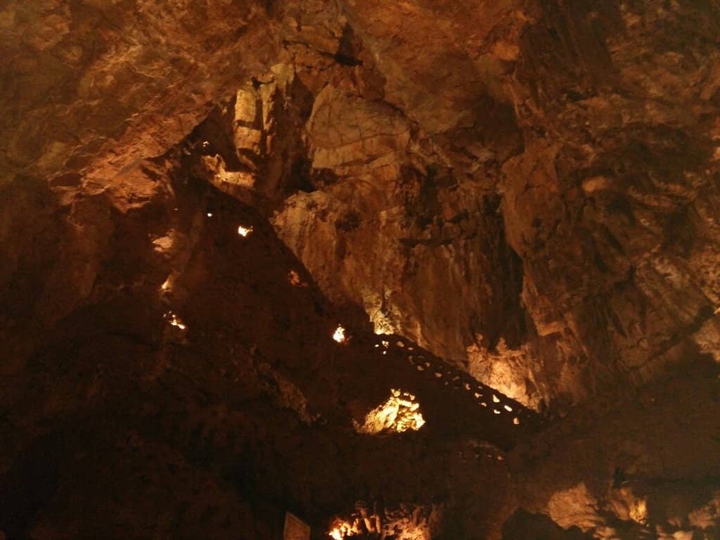 Dinosaur Footprints