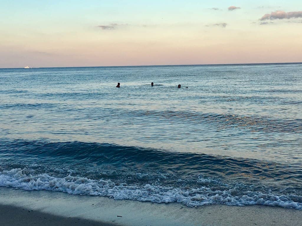 Waterfront Dining & Entertainment