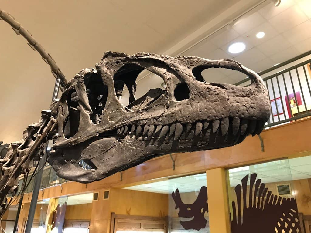 Wyoming's Geological Wonders