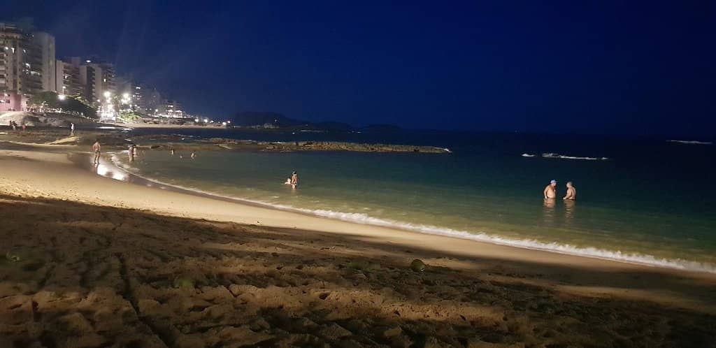 The Iconic Castanheira Tree