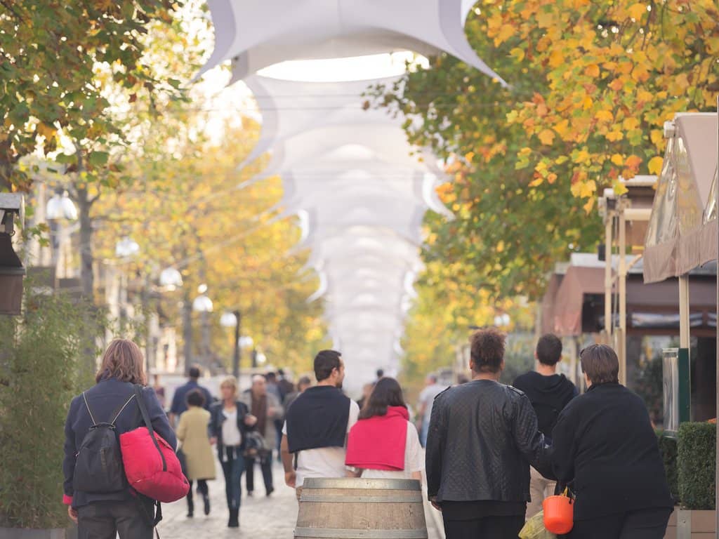 Diverse Dining Options