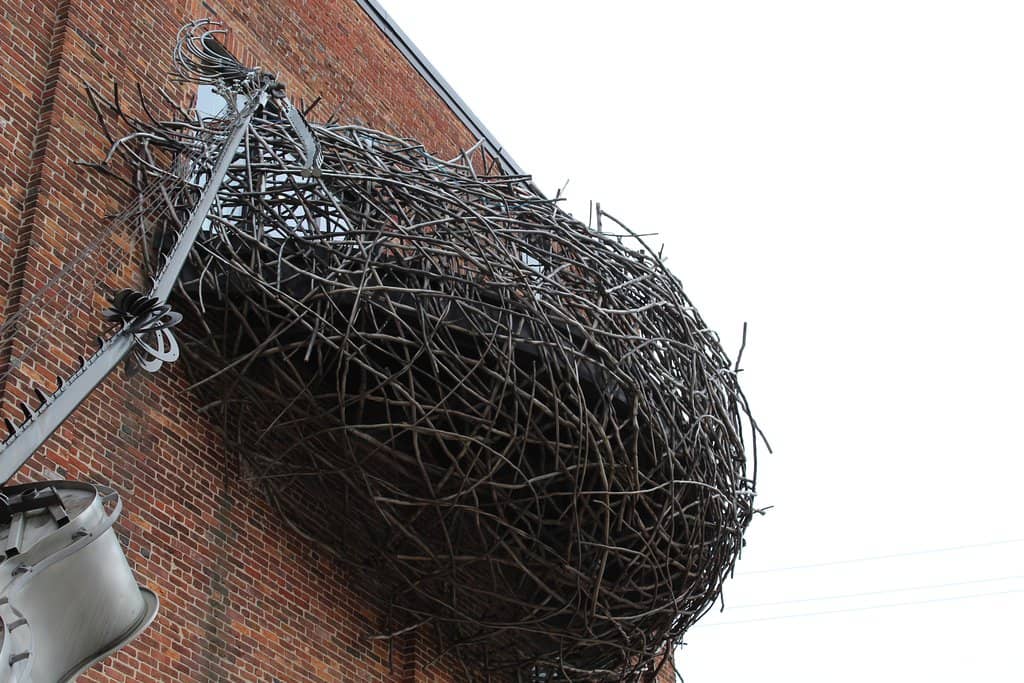 Thematic Rotating Exhibits