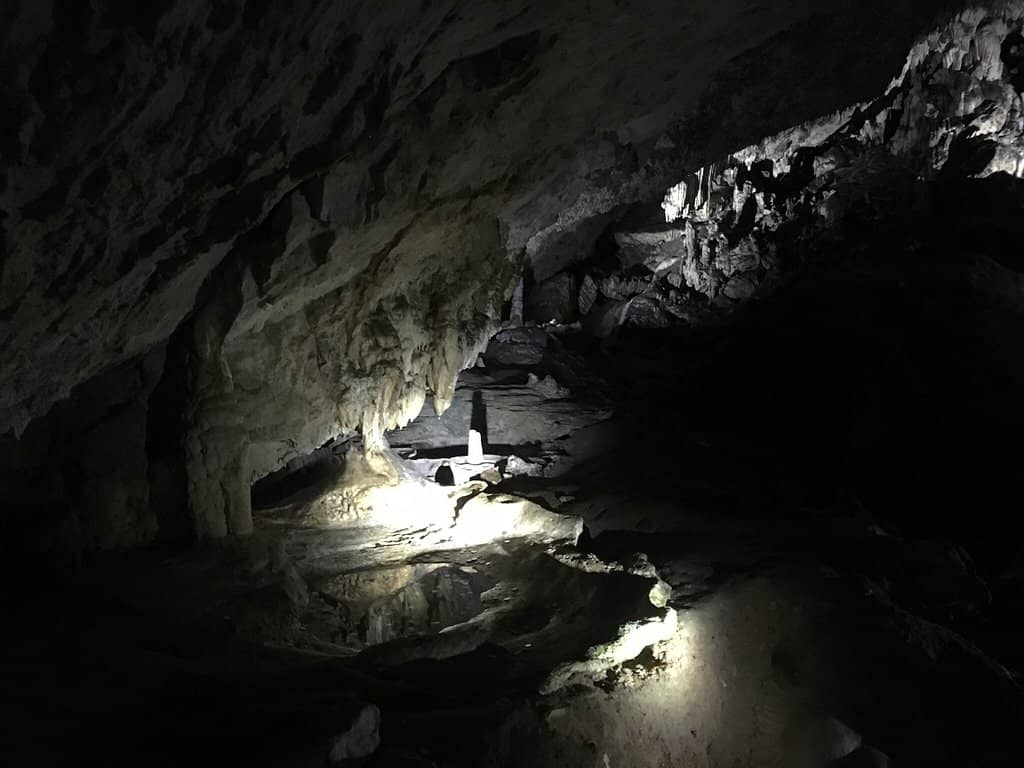 The Darkness Experience