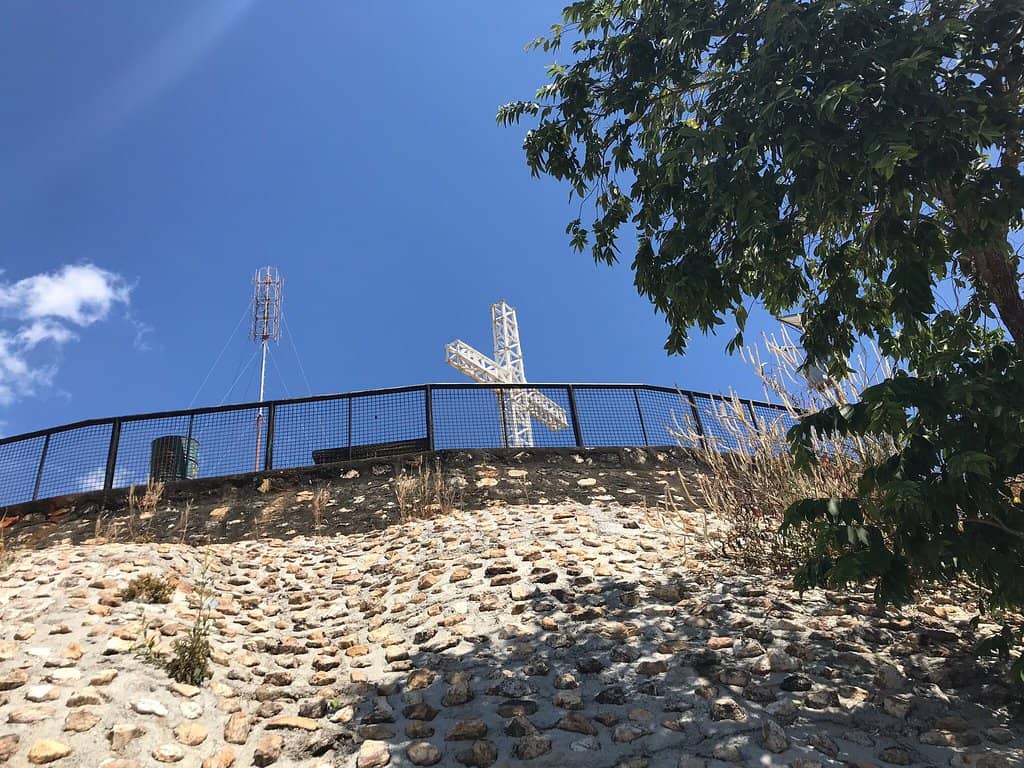 Panoramic Coron View