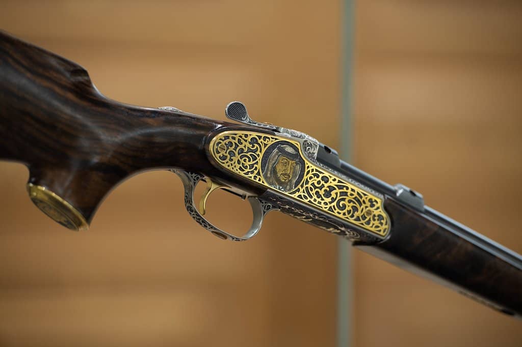 Palace in Motion Light Show