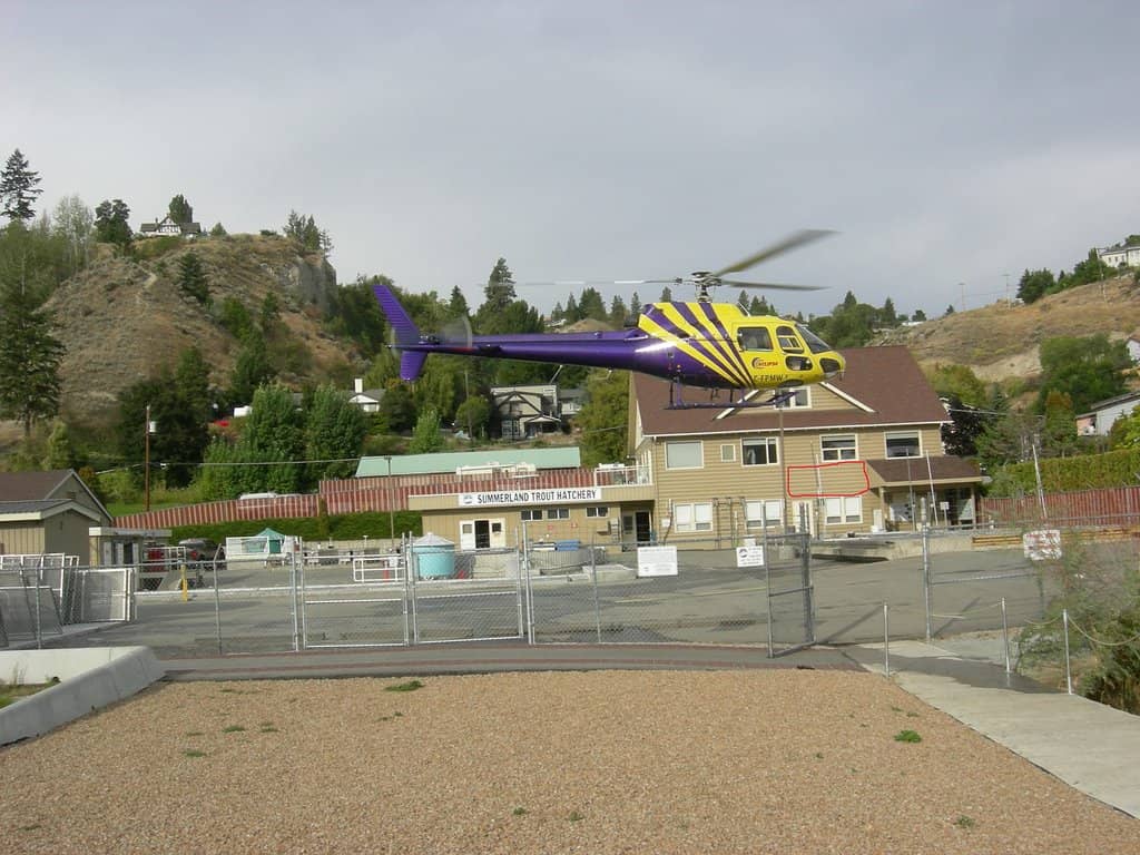 Learn to Fish Program