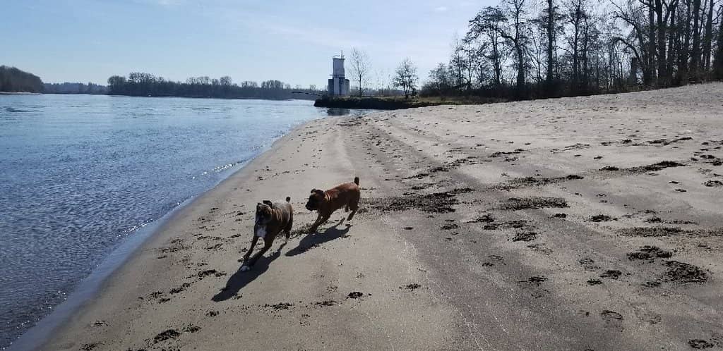 Columbia River Beaches