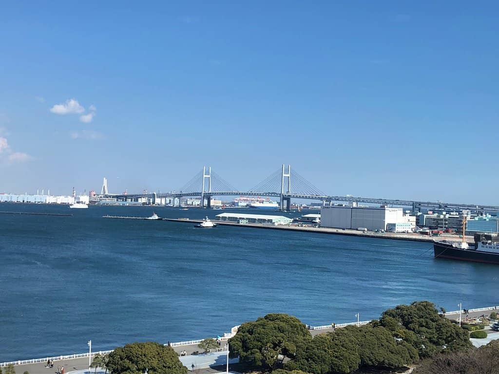 Harbor Activity Views