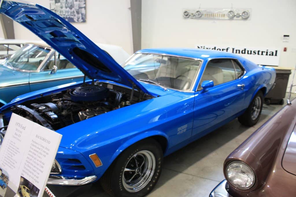 Mammoth Tusks & Teeth