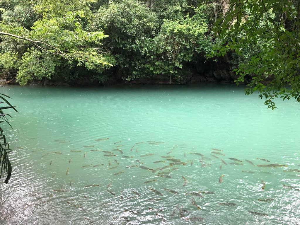 Underwater Paradise After Rain