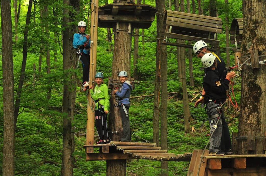 Ziplining Thrills