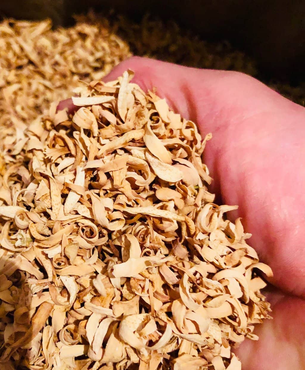 Engaging Tour Guides