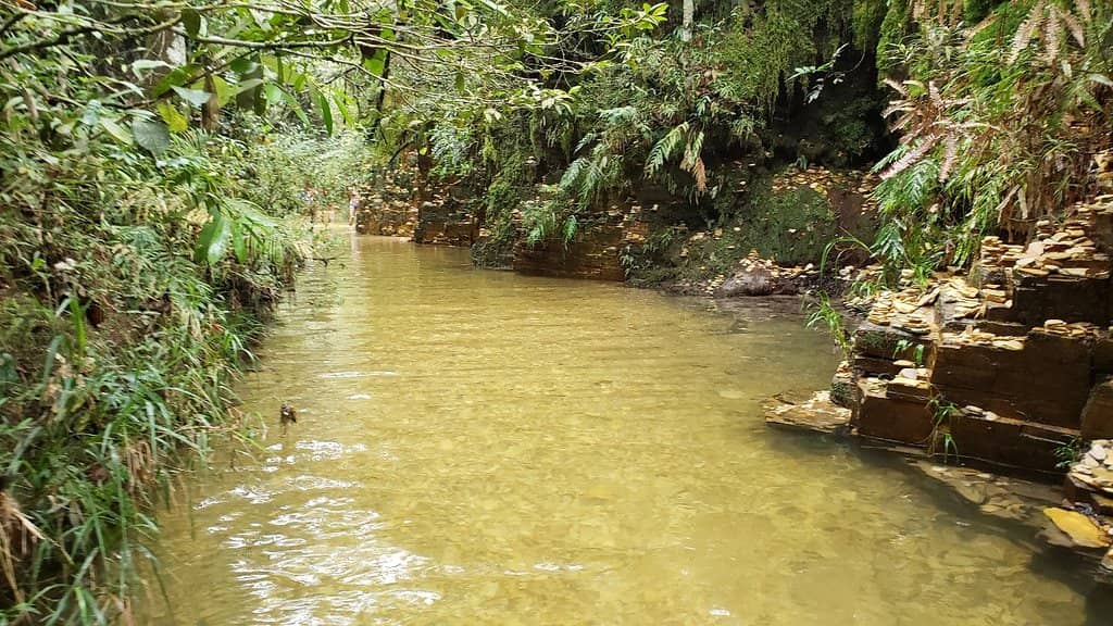 Unique Natural Areas