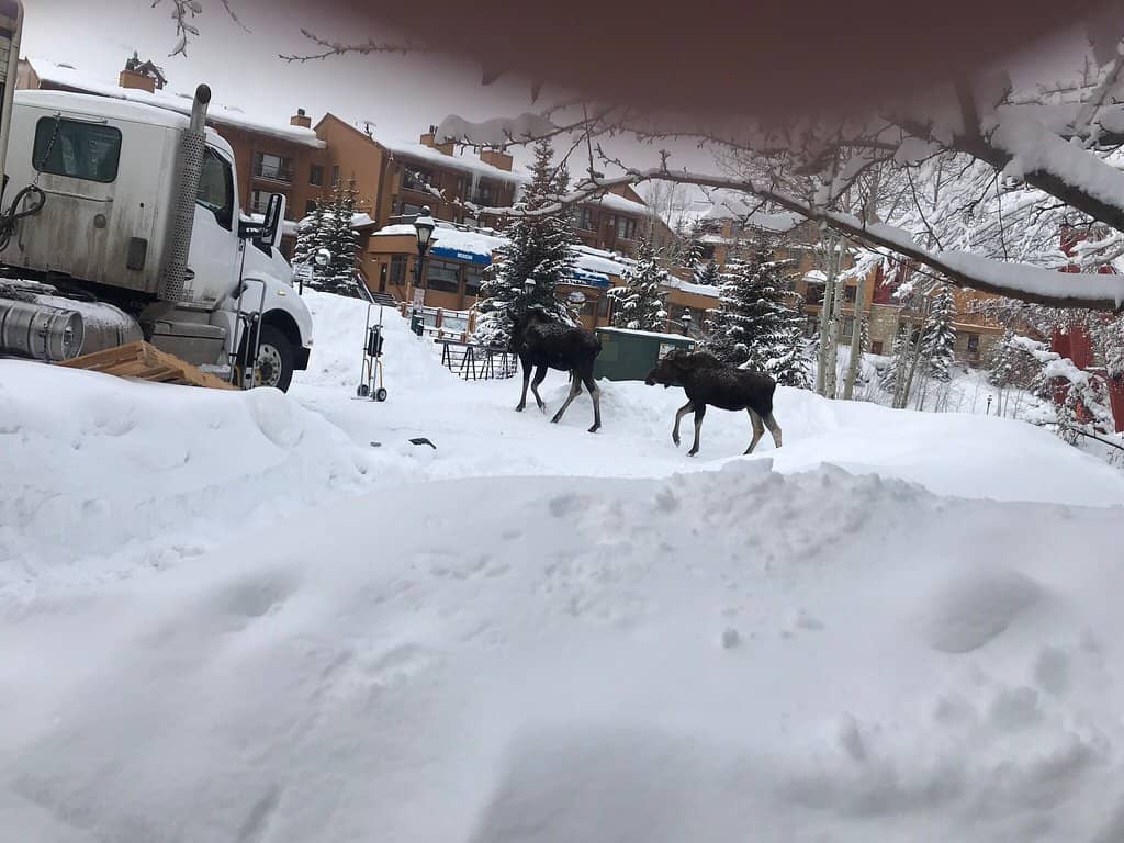 Unique Boutiques & Shops