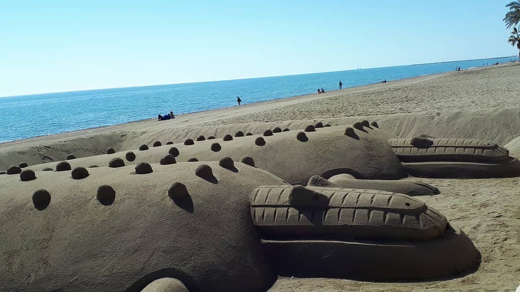 Chiringuito Delights