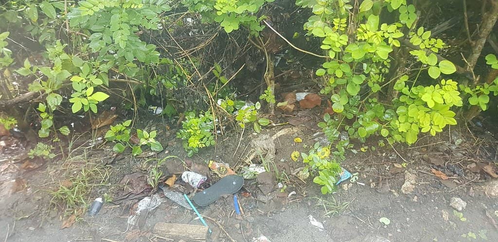 Crystal Clear Snorkeling