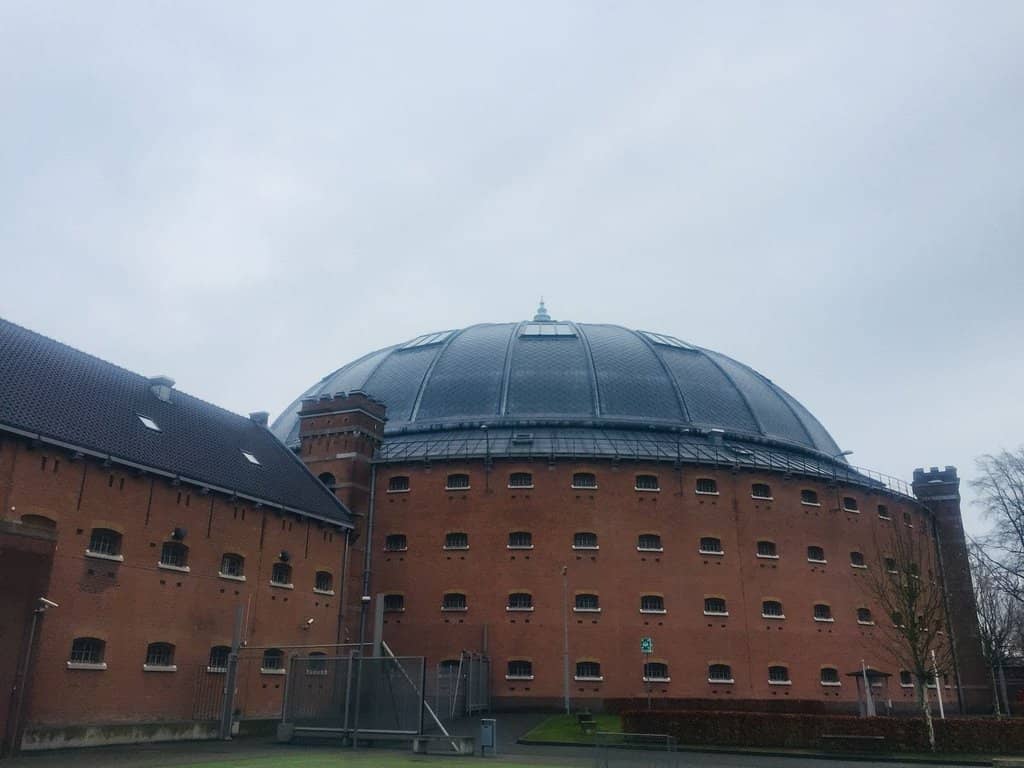 'Vleugels to the Max' Experience