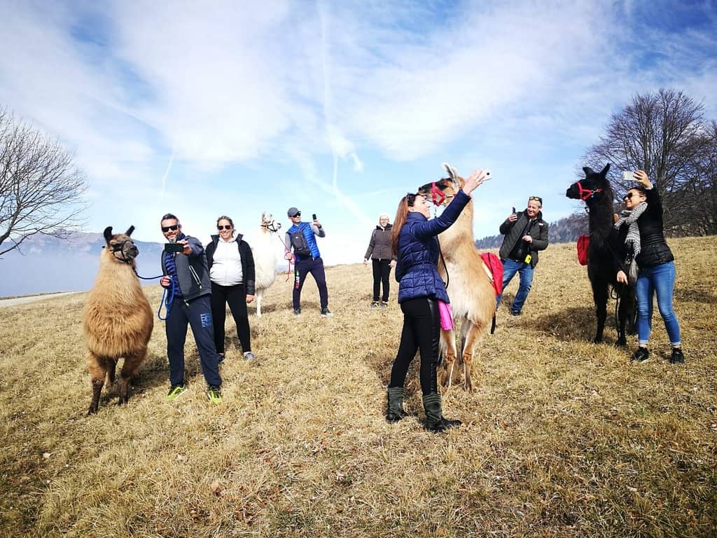Daffodil Season Bloom