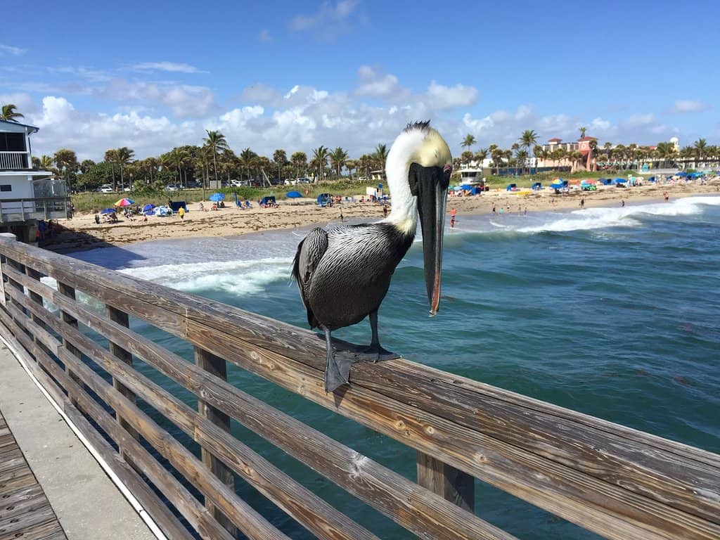 Street Painting Festival