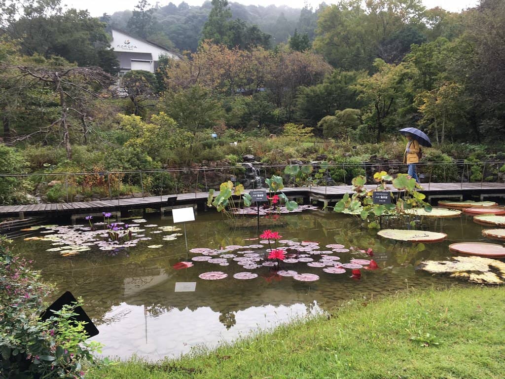 The Father of Japanese Botany