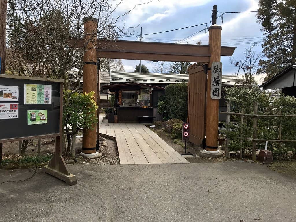 Medicinal Herb Garden