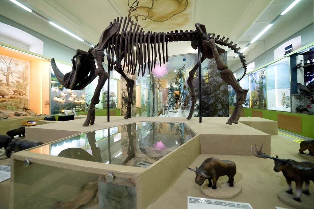 Historical Costumes & Utensils