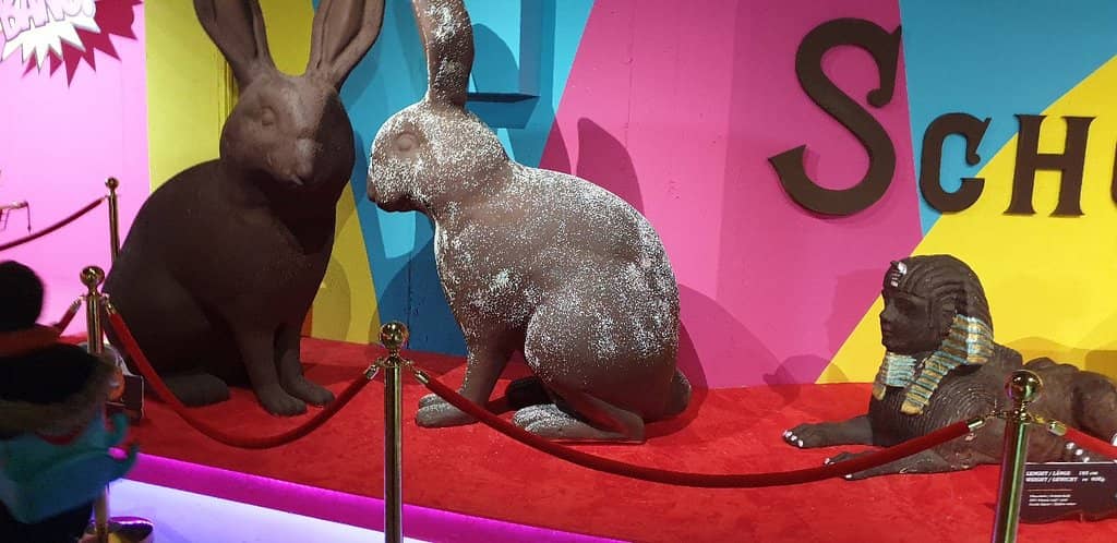 Interactive Exhibits