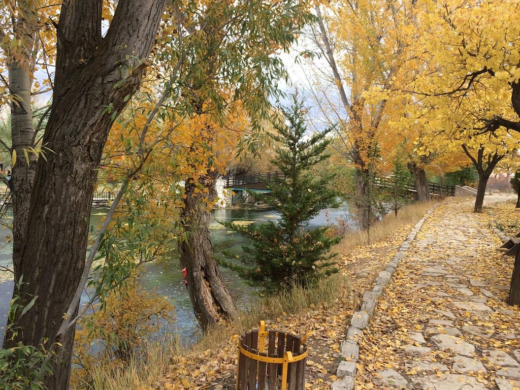 Tranquil Lakeside Ambiance