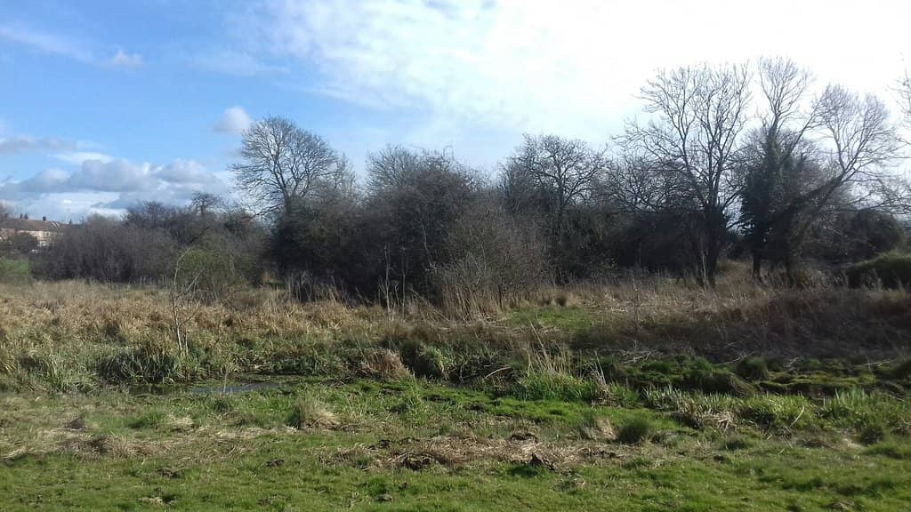 River Oughton Views