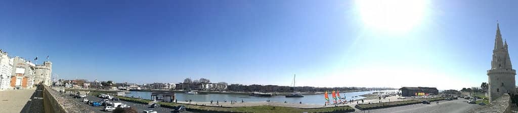 Saturday Market Buzz