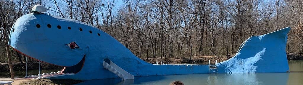 Feeding the Turtles & Catfish