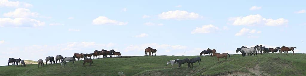 Painted Canyon Overlook