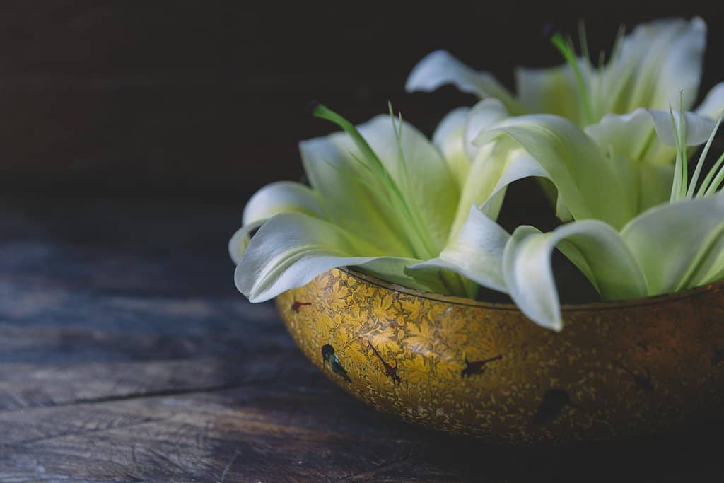 Authentic Mexican & Westernized Dishes