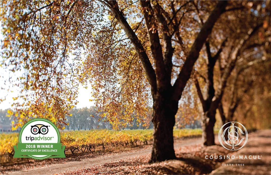 Wine Tasting Experience