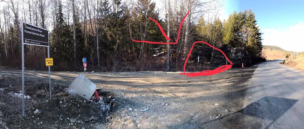 Graffiti-Covered Boxcars