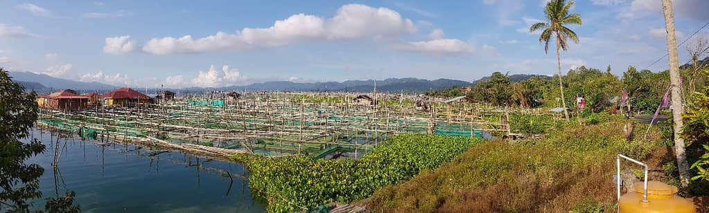 Lembah Pinus Tondano