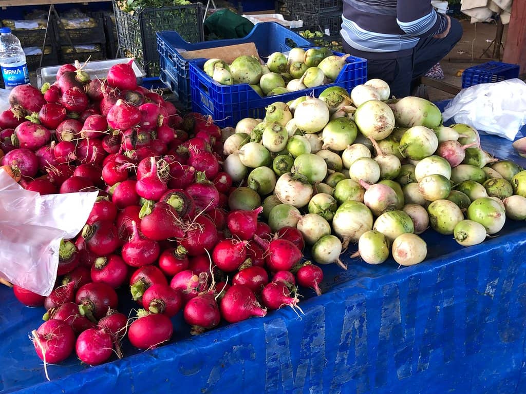 Local Flavors & Spices