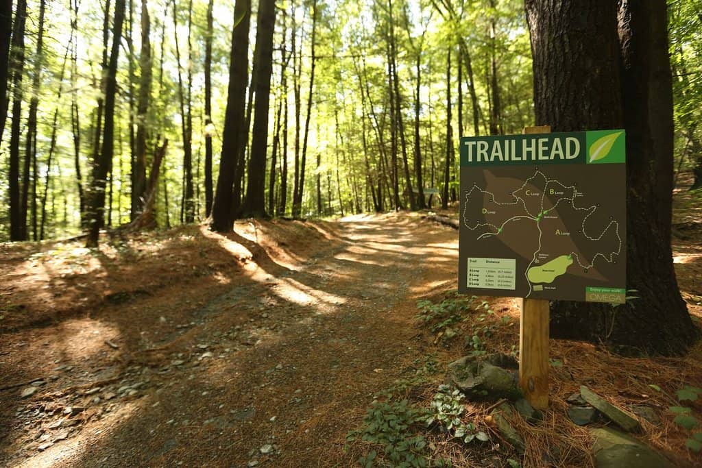 Farm-to-Table Dining