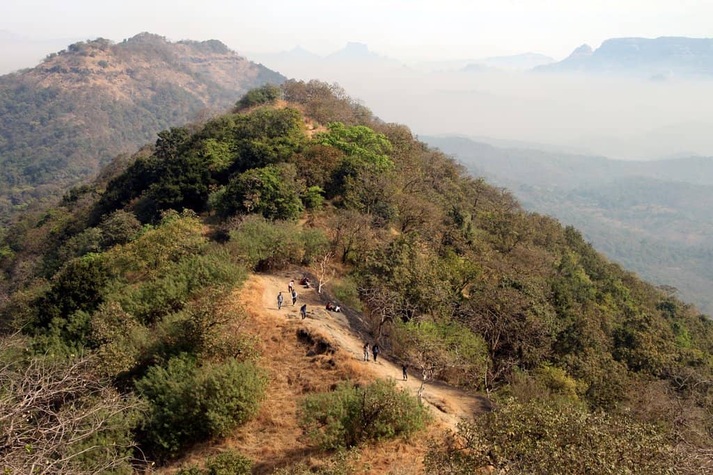 Karnala Bird Sanctuary
