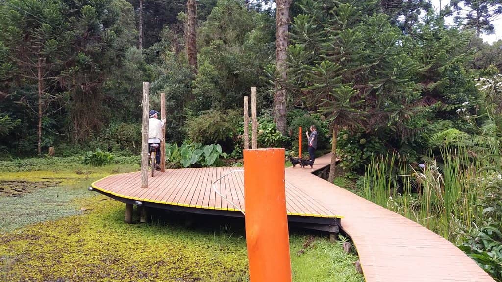 Adventure Activities