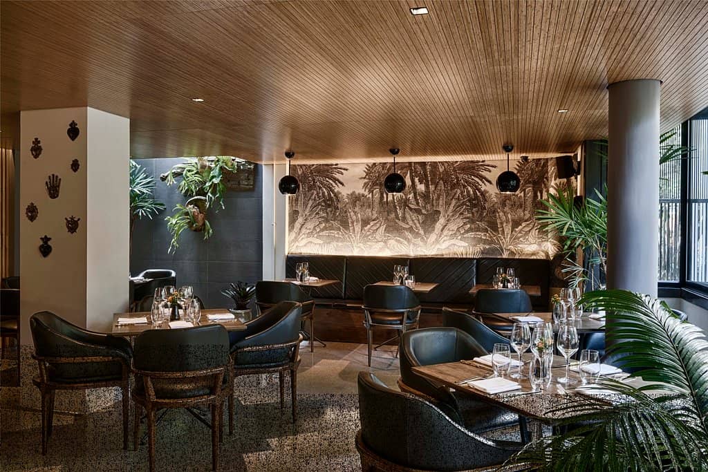 Knife Selection Experience